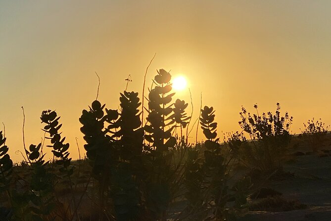 2-Day Overnight Desert Experience - Price, what $370 covers, and where the value comes from