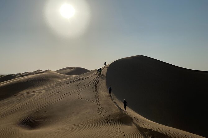2-Day Overnight Desert Experience - Wadi Dawkha UNESCO frankincense gardens, and why the trees matter