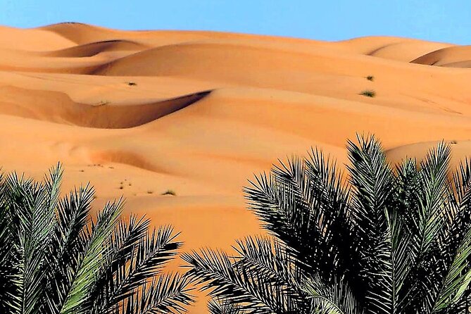 2-Day Private Wahiba Sands Desert Camping Tour from Muscat - 4WD Driving, Long Days, and How to Stay Comfortable