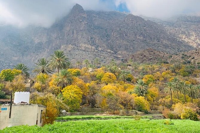 2 Days 1 Night Wakan Private Tour - Arriving at Wakan: mountain air, 700 steps, and that “how is this real?” view