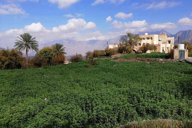 2 Days 1 Night Wakan Private Tour - Rustaq souk area: handicrafts and honey even when the old market is changing