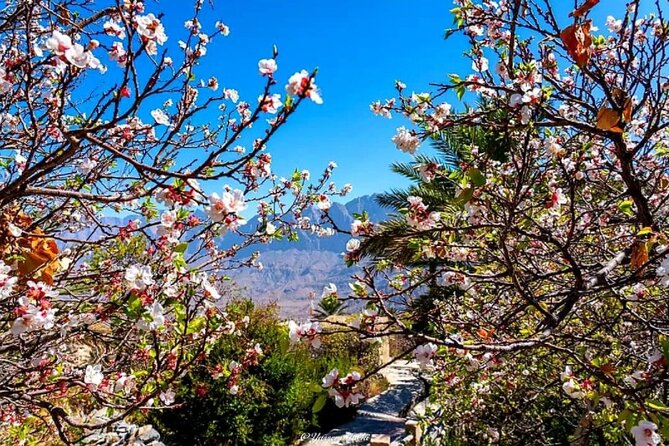 2 Days 1 Nights Private Trip to Wakan - Nakhal Fort: the 350-year fortress you can walk inside