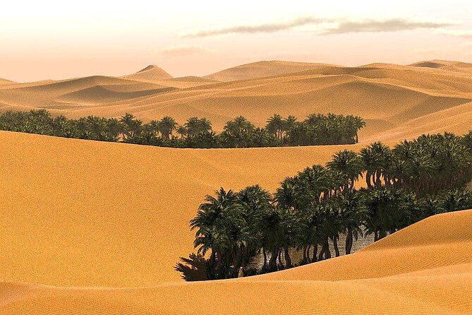 2 Days and 1 Night Private Wahiba Sands Desert Tour - What the $555 Price Really Buys You