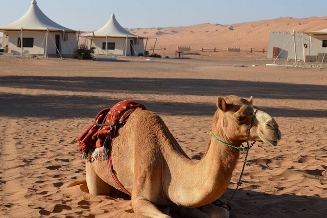 2 Days Desert Adventure Package - Nizwa first: why starting in the interior makes sense