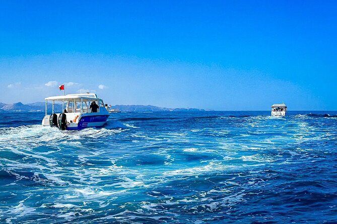 2 Hour Dolphin Watching Experience in Muscat - Boarding the Boat: What the Cruise Is Really Like
