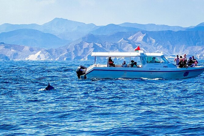 2 Hour Dolphin Watching Experience in Muscat - Timing and Route: Why Two Hours Can Be Perfect