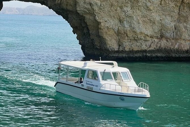 2 Hours Dolphin Watching Cruise in Muscat - The search and the dolphins: how the captain makes viewing work