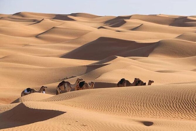 3-Days Private Tour in Oman with Pick Up - Who this tour suits best, and who might not love it