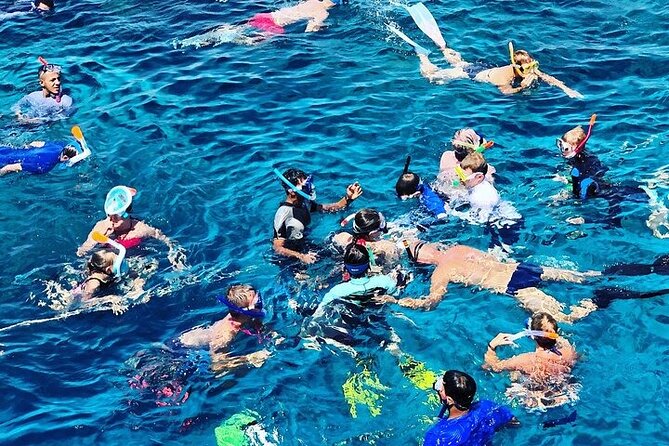 3 Hour Snorkeling and Dolphin Watching Experience in Muscat - Key Highlights You Should Care About