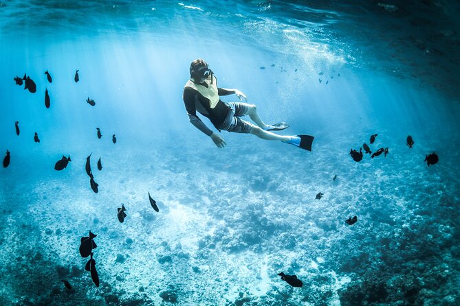 3-Hr Private Snorkeling and Dolphin Watching Tour at Muscat - Key things that make this tour work