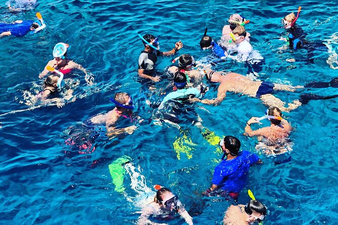 3-Hr Private Snorkeling and Dolphin Watching Tour at Muscat - Dolphin watching on the Arabian Sea: excitement, but keep expectations real