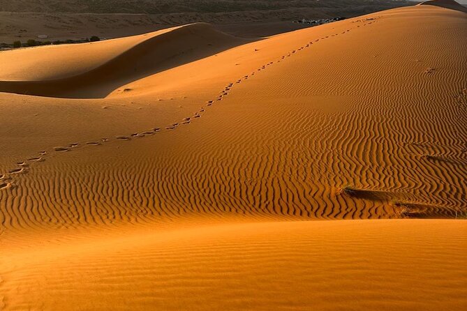 5 Days 6 Nights Private Tour in Oman - Muscat First Day: Grand Mosque, Royal Opera, and Mutrah’s Real Rhythm