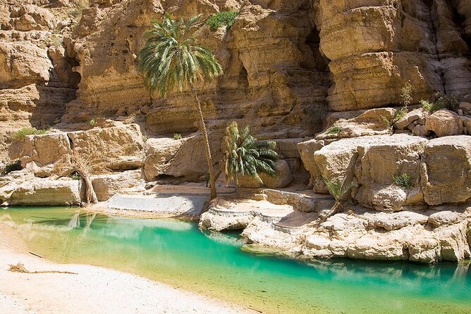 5 Days Jewels Of Oman Package - Day 2 desert day: Wadi Bani Khaled, Wahiba Sands, and a Bedouin home visit