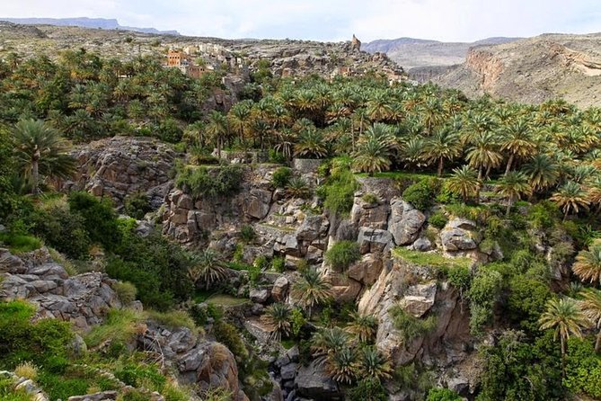 5 Days Package TOUR DINA - Day 4: Early Nizwa Souq, Fort Walks, and Jebel Shams Canyon Hiking