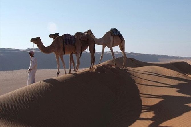 5 Days Package TOUR DINA - Price and Value: What $1,600 Per Person Actually Buys You
