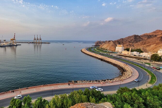 5 Hours Private Tour in Muscat City - Qurum Park option: relaxing after the city work