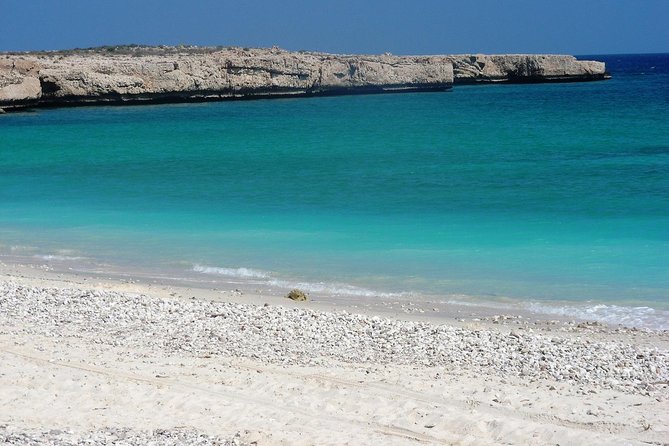 6-Day Latifa Package Tour - Day 1: Bimmah Sinkhole and Wadi Shab, the swim day