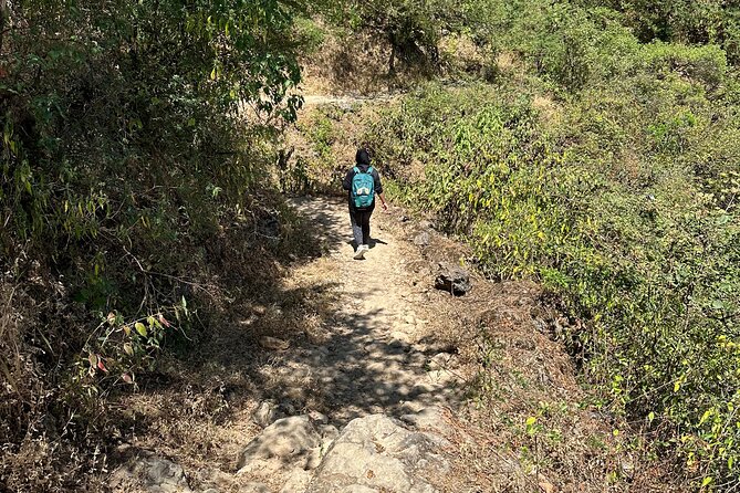 6 Hours Private Hiking in Salalah Mountains - Bonus scenery you might catch: waterfalls, camels, and baobab trees