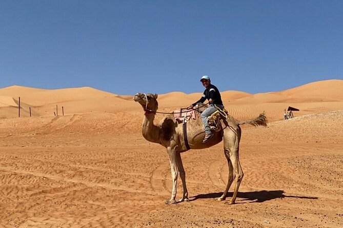 7-8 Hours Private Desert Adventure Trip with Activities - Private pickup in Muscat: how it shapes your day