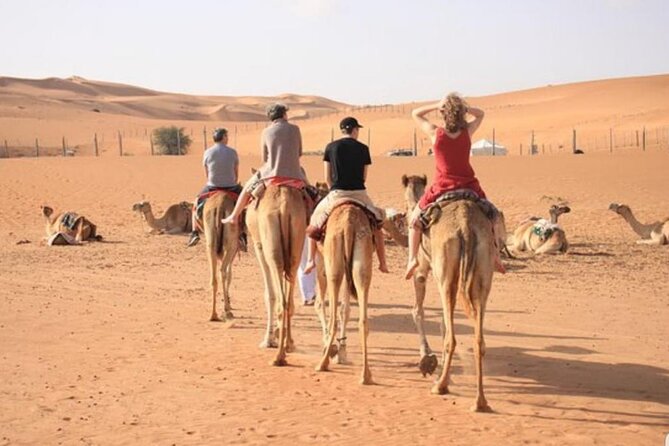 7-8 Hours Private Desert Adventure Trip with Activities - Stop 1 at Wahiba Sands: how the day flows on the dunes