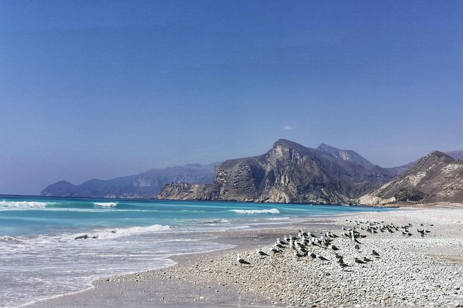 8 Hours of West Salalah Best | Private Tour - Fazayah Beach: your big white-sand reset (about 3 hours)