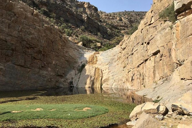 A Mirage In The Mountain - Price at $220: What You’re Really Paying For
