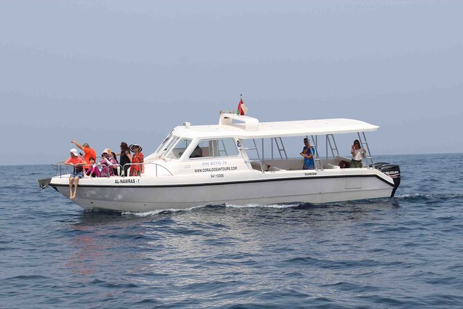 Amazing Dolphin Watching Tour In Muscat - Dolphin Spotting in the Muscat Sea (Species and What to Look For)
