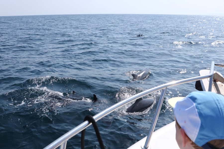 Bandar Al Khayran Jorney: Group Tour with Snorkeling - Key Points I’d Plan Around