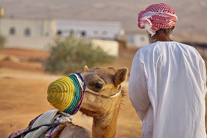 Bediyah: Camel Safari through the Wahiba Sands Desert - Bedouin hospitality and chatting with Abdullah Haza