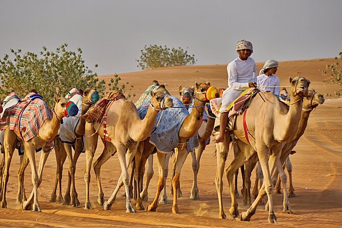 Bediyah: Camel Safari through the Wahiba Sands Desert - What a 1 hour camel ride in Bidiyah feels like