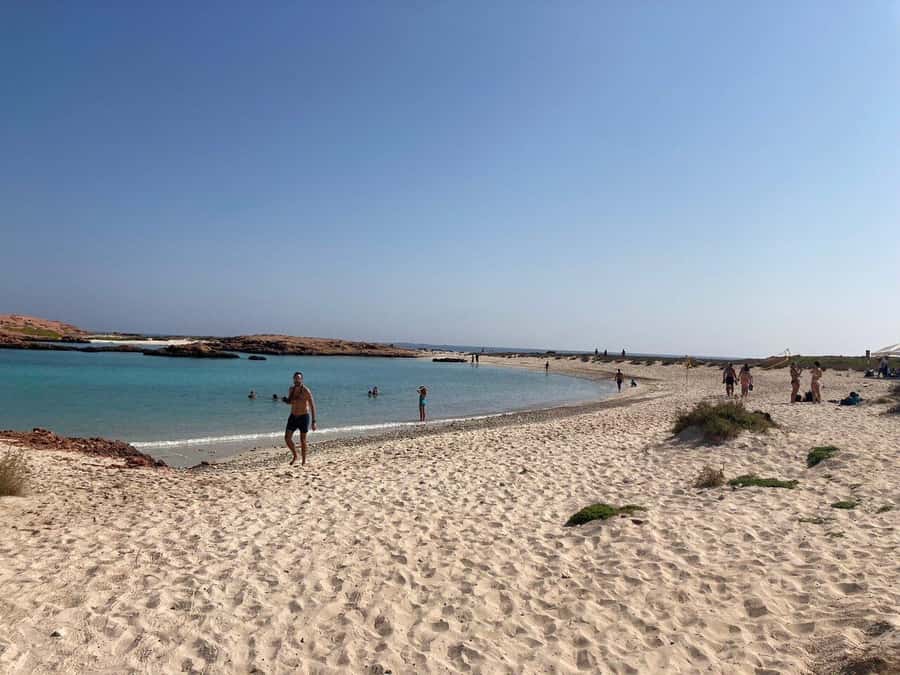 Camping to the Daymaniyat Islands with an overnight stay - Setting up camp: what you do, what they provide, and what to bring