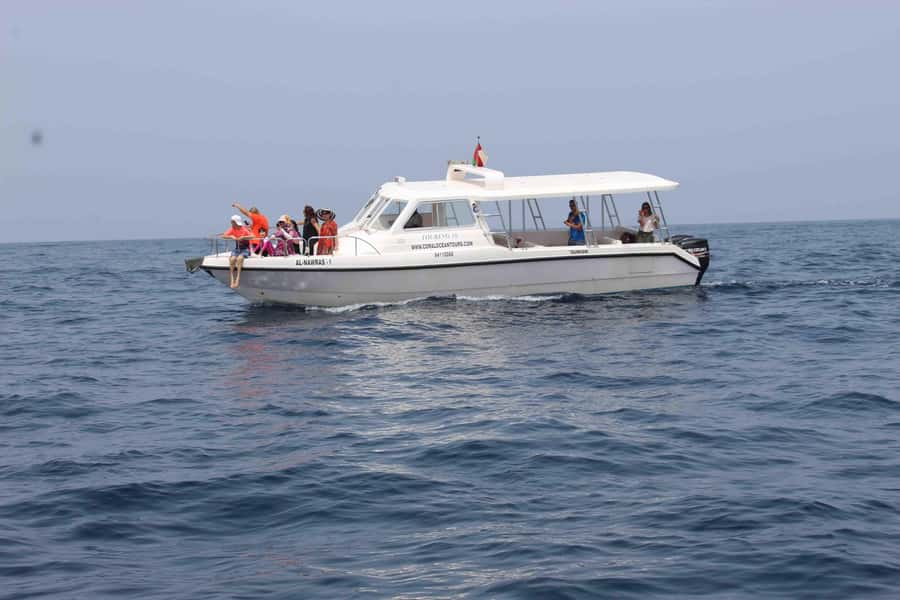 Coastal & Sunset Cruise in Muscat - Where you meet in Marina Bandar Al Rowdha (and how not to waste time)