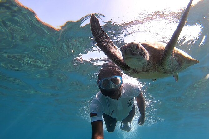 Cruises to Daymaniyat & Snorkeling - Daymaniyat Islands From Muscat: The Quick Pitch