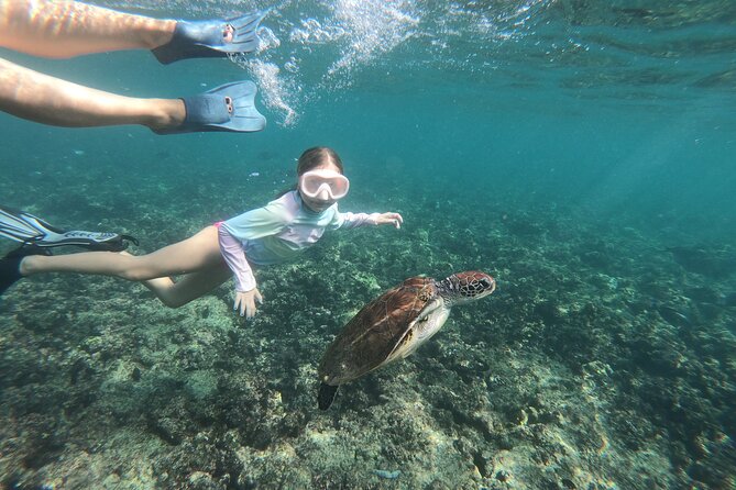Cruises to Daymaniyat & Snorkeling - Onboard Comfort: Snacks, Sodas, and Gear You Actually Use