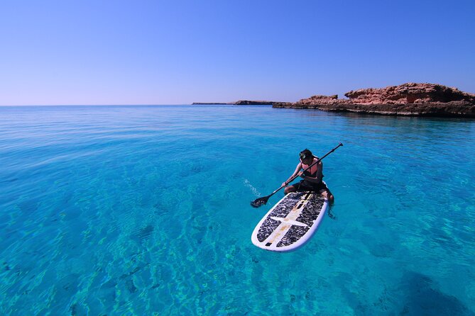 Cruises to Daymaniyat & Snorkeling - Wildlife Encounters: Turtles, Reef Fish, and the Occasional Surprise