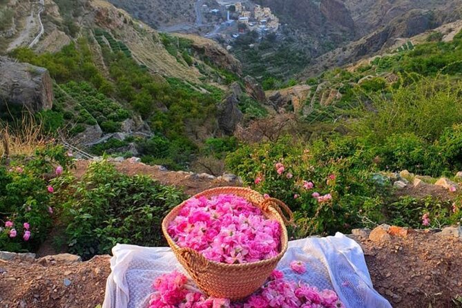 Damascus Roses - Discover the secrets of Al Jabal Al Akhdhar - Quick hits before you go