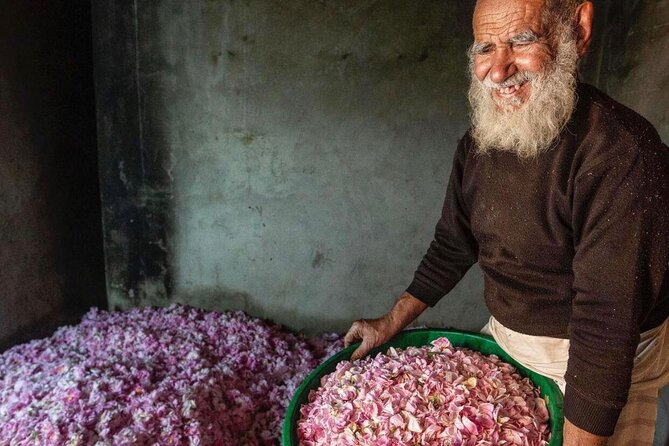 Damascus Roses - Discover the secrets of Al Jabal Al Akhdhar - Stop 1: Jabal Akhdar rose gardens and the best season test