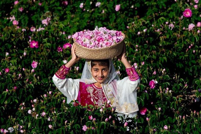 Damascus Roses - Discover the secrets of Al Jabal Al Akhdhar - Getting there smoothly: 4WD, pickup, and a real half-day pace