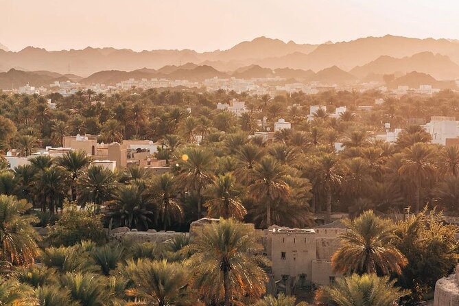 Day Tour to the Enchanting Forts of Nizwa - Timing, Comfort, and Heat: What to Expect on an 8-Hour Day