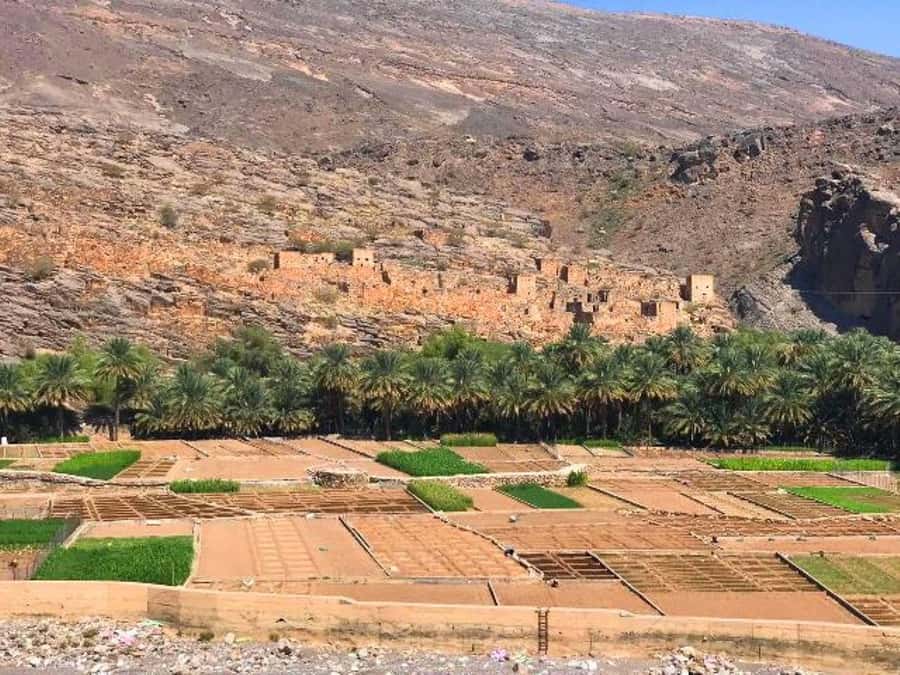 Day Trip to Jabal Shams, Wadi Nakhar, Misfat Al Abriyeen - Misfat Al Abriyeen: old village lanes, real water, real farming