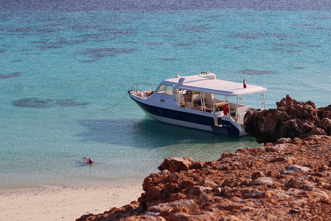 Daymaniyat island Natural Reserve and Dolphin Watching - Daymaniyat Marine Reserve: Why This Trip Feels Like Value