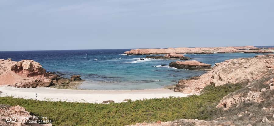 Daymaniyat Island: Snorkelling Tour with Tasty Lunch - Stop Two: A Deeper Second Site and More Species Time
