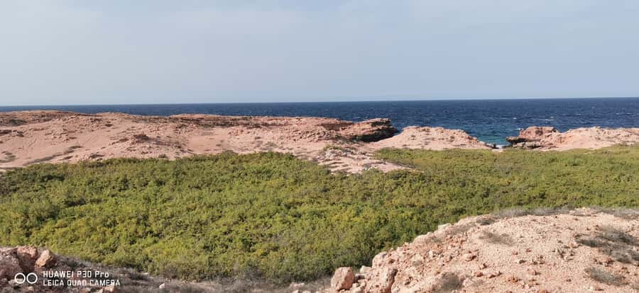 Daymaniyat Island: Snorkelling Tour with Tasty Lunch - Lunch and Snacks: What You Eat Between Swims