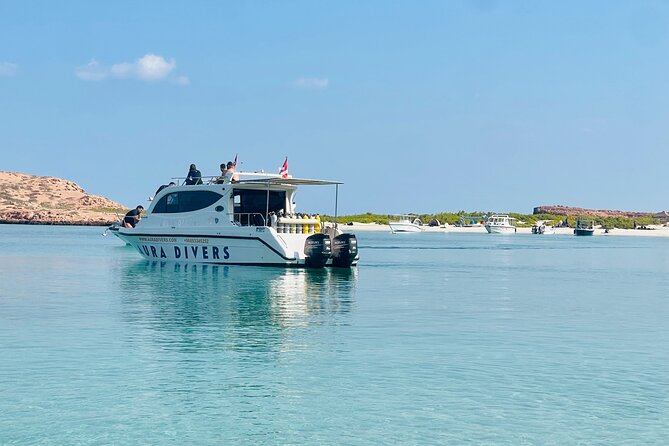 Daymaniyat Islands Snorkeling 2 different snorkeling sites and Lunch included - Key highlights you should know before you go