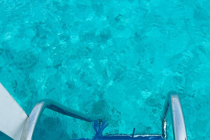 Daymaniyat Islands Snorkeling 2 different snorkeling sites and Lunch included - Price and value, what $100 buys you in real terms