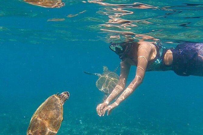 Daymaniyat Islands Snorkeling Half-Day Tour - Key things I’d lock in before you go