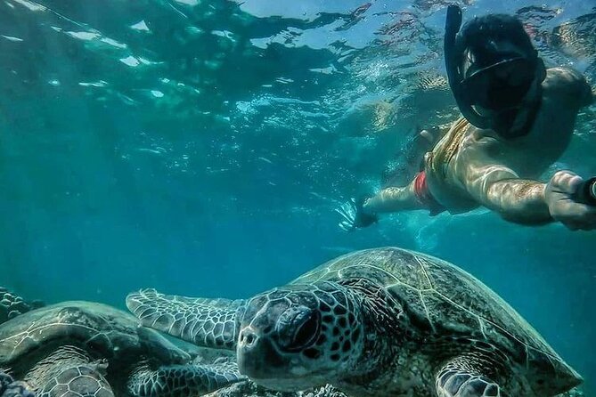 Daymaniyat Islands Snorkeling Half-Day Tour - Daymaniyat Islands: why this half-day feels like a full vacation