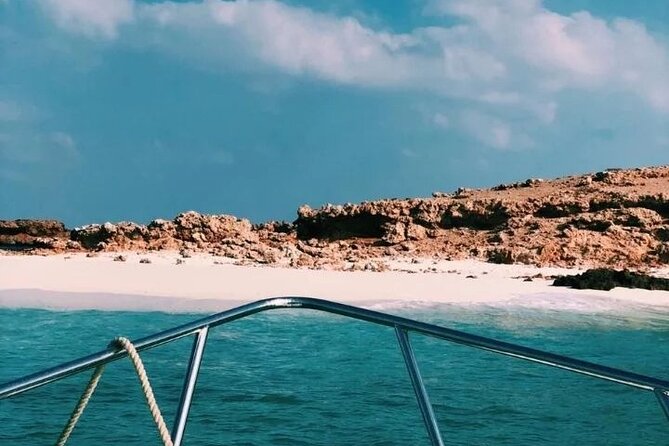 Daymaniyat Islands Snorkeling Half-Day Tour - The snorkeling plan: two underwater chances at Daymaniyat’s wildlife