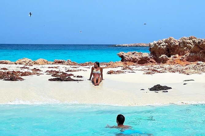 Daymaniyat Islands Snorkeling Half-Day Tour - Whale sharks and dolphins, and how to think about sightings