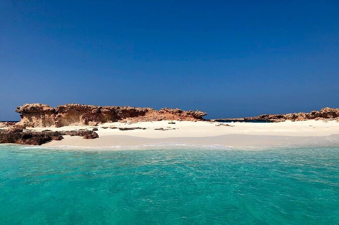 Daymaniyat Islands Snorkeling Half-Day Tour - Paddle-board and kayak time: why it’s more than a free add-on